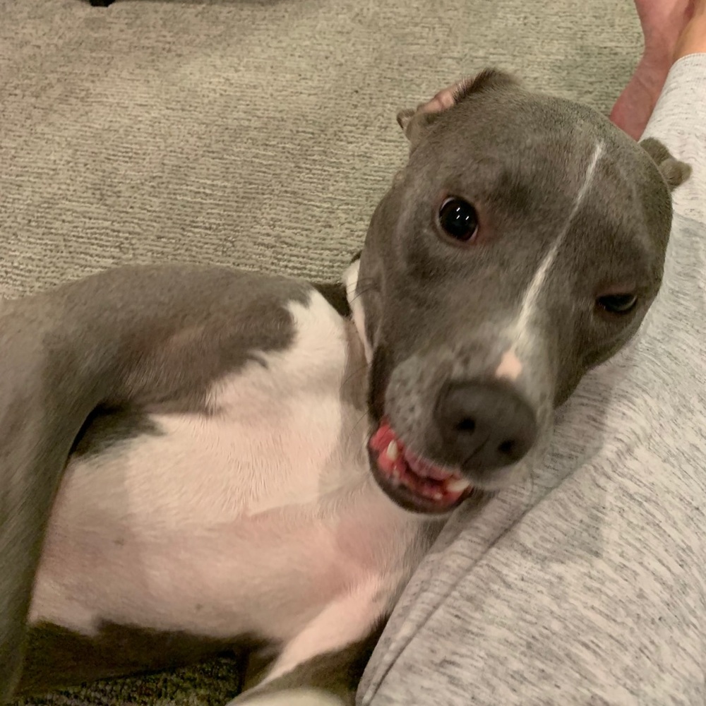 Meet your Posher, Megan